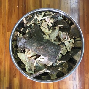 フクギの皮 Bark of Fukugi tree.