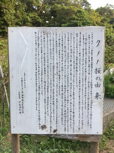 クメノサクラの由来。