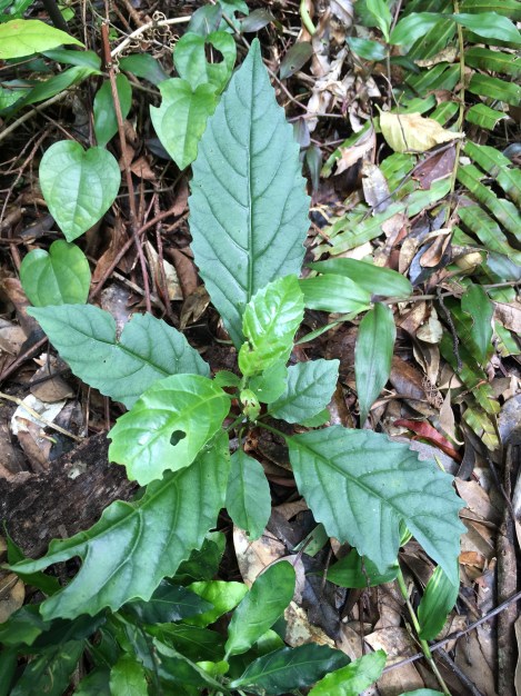 01A63B94-1928-4ED9-92D7-F09312EEA3B8