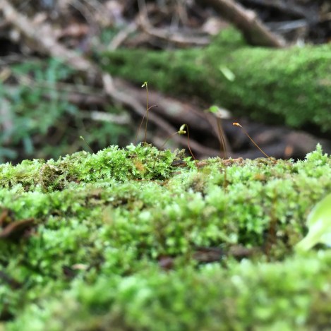 69D784CC-674B-4BF9-A8A8-16EAB02EA202