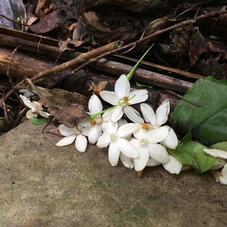 9186F2A7-5160-4C00-9C57-67219790B433